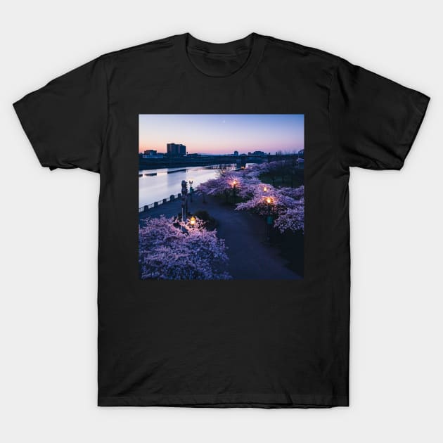 Cherry Blossoms Along The Waterfront in Portland Oregon T-Shirt by LaLunaWinters